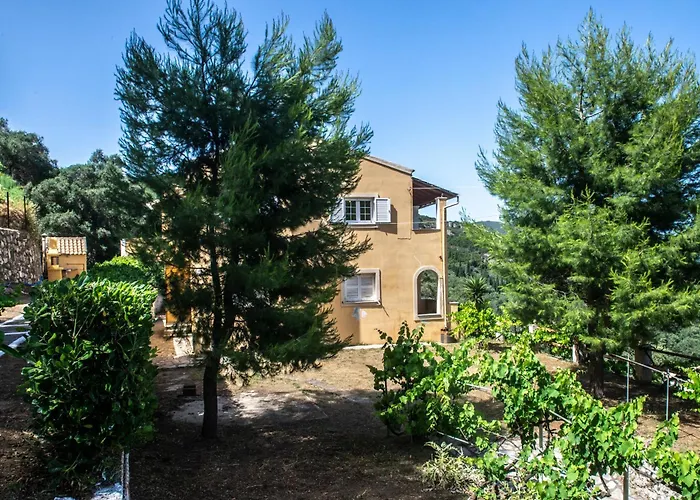 Giannis House 2022 *